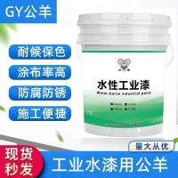 厂家定制20kg水性环氧防腐漆大型钢结构金属防锈漆工业漆批发涂料
