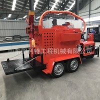路面养护用300L沥青灌缝机 地面裂痕沥青胶 电热加热管灌缝机