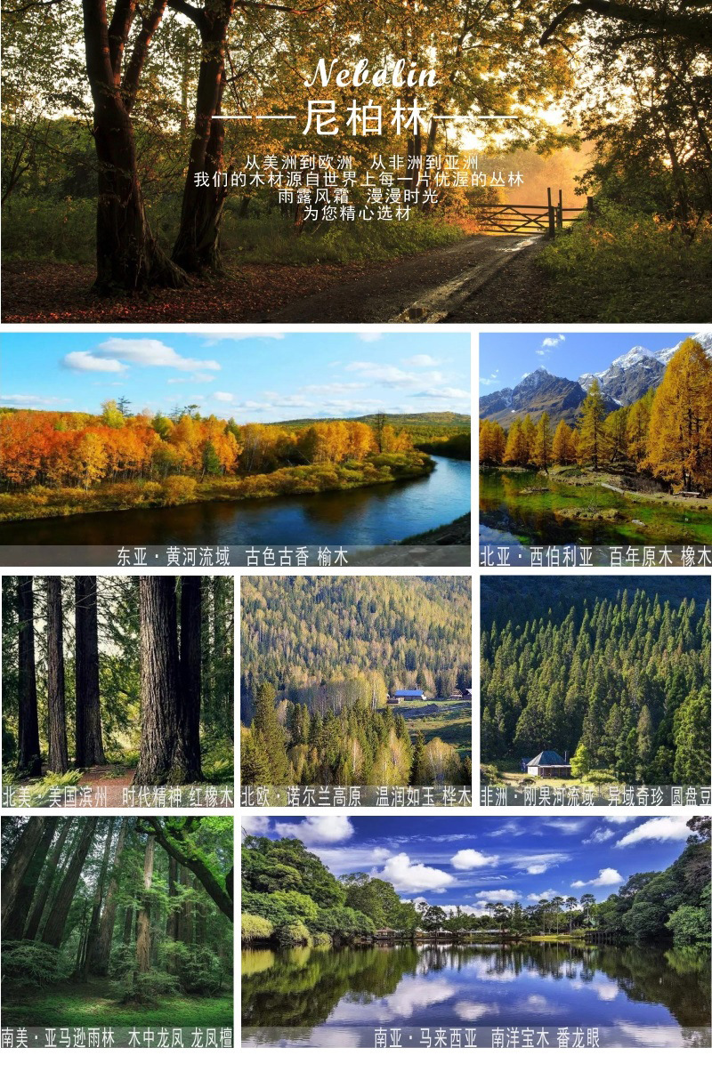 详情顶部_01.jpg