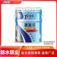 防尘水性透明内外墙真石多彩仿石漆罩光面油保色面漆罩面光油清漆