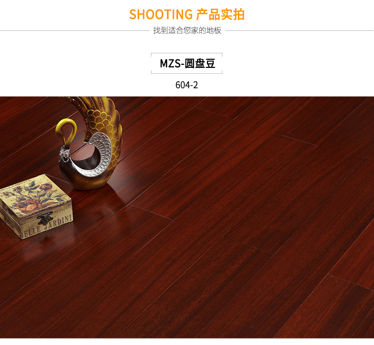 圆盘豆_10.jpg