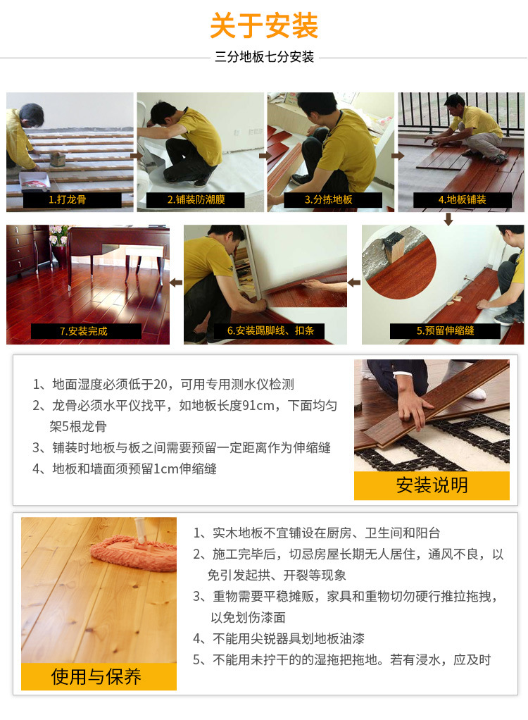 圆盘豆_18.jpg