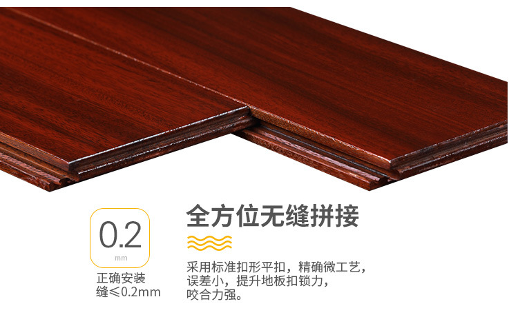圆盘豆_15.jpg