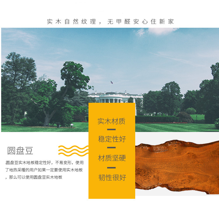 圆盘豆_03.jpg