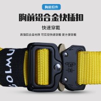 哥尔姆儿童攀岩安全带GM3606室内户外拓展全身五点式保险带安全绳