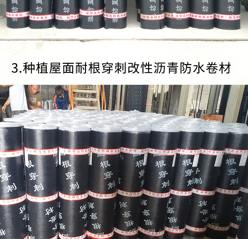 SBS防水卷材2