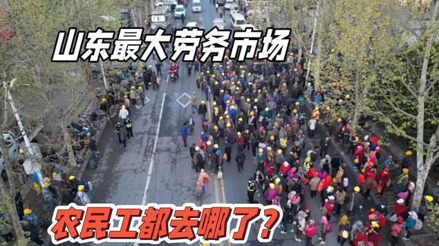 微信截图_20230418125743