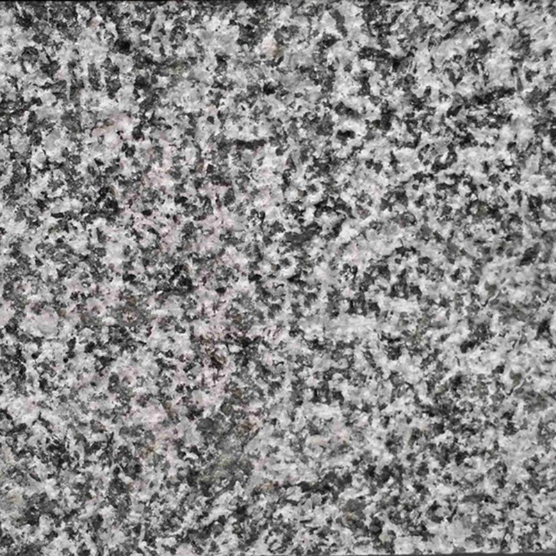3950255075_567265678