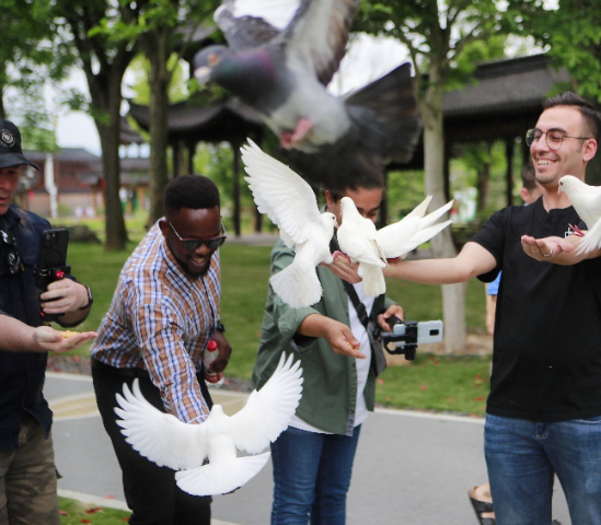 微信截图_20230519103137