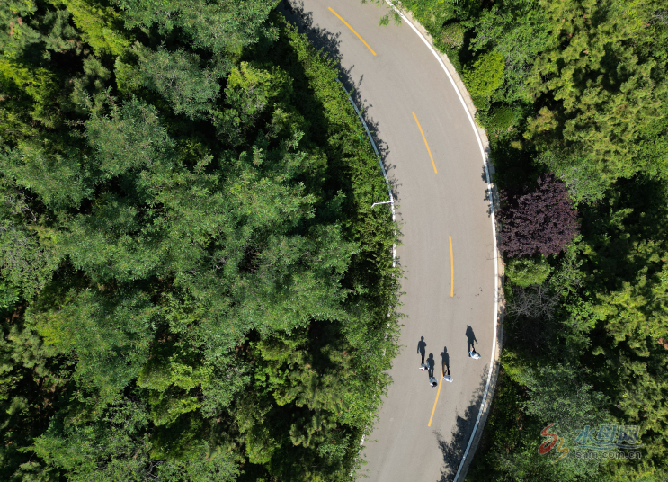 微信截图_20230605094204