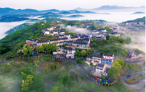 微信截图_20230609091842