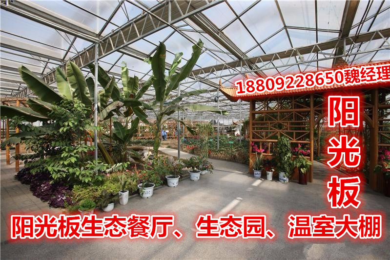 151070829077035_副本